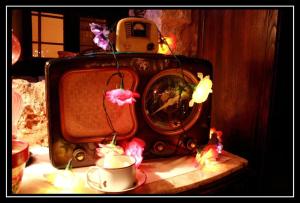 an old fashioned tv with a cup of coffee and flowers at Casa rural la Quinta in Valeria +79 photos