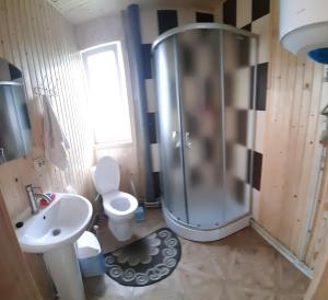 La salle de bains est pourvue d'une douche, de toilettes et d'un lavabo. dans l'établissement Затишні Карпати)), à Verkhovyna