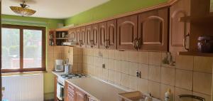 una cocina con paredes verdes y armarios de madera en Green Wilow Siedlisko, en Wrocanka