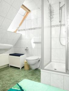 uma casa de banho com um WC, um lavatório e um chuveiro em Wolkenlos em Insel Poel