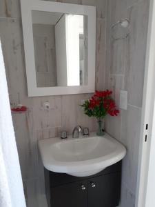 Monoambiente Puerto de Olivos في أوليفوس: حمام مع حوض و مزهرية من الزهور الحمراء