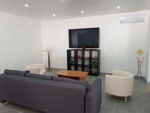 uma sala de estar com um sofá e uma televisão em Villa entière de 145m² calme en petite Camargue em Beauvoisin