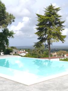 a swimming pool with a tree in the background at Villa Vista in Sesimbra