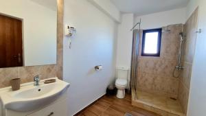 a bathroom with a sink and a shower and a toilet at Elina2 in Techirghiol +24 photos
