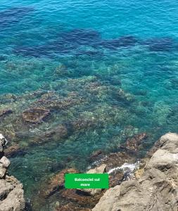 une image de l’eau bleue claire dans l’océan dans l'établissement La Casetta sul mare di Cefalù, à Cefalù