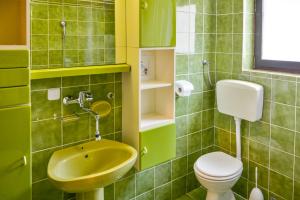a green bathroom with a sink and a toilet at Apartman Gabrijela in Senj +20 photos