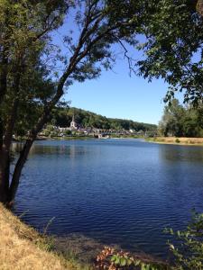 a view of a lake with a tree in the foreground at Pavillon en Touraine in Savonnières