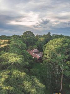 una vista aerea di una foresta di alberi di Wasai Tambopata Lodge a Tambopata