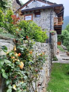 Zahrada ubytování B&B Mont Mars