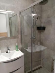 uma casa de banho com um chuveiro e um lavatório. em Apartments Anita Hure em Hvar