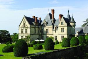 un viejo castillo con árboles delante de él en AMALOUYSE Chambre de charme au cœur des châteaux de la Loire en Montlouis-sur-Loire