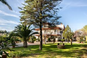a house with palm trees in front of a yard at Vivienda Turística Rural Mari Carmen in Baeza