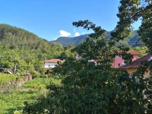 萨帕雷瓦巴尼亚Dariya Guest House的相册照片