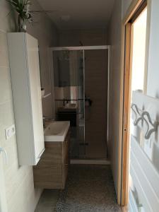 uma casa de banho com um chuveiro e um lavatório. em Gîte La Lancieutine Proche Plages 4 Personnes em Lancieux