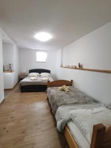 Gallery image of Apartman Ane - Bribir in Bribir