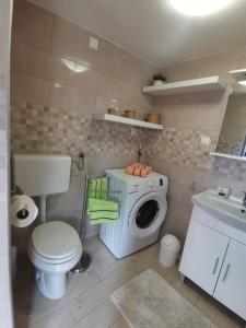 ein Badezimmer mit einem WC und einer Waschmaschine in der Unterkunft Apartman Ane - Bribir in Bribir
