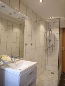 a bathroom with a sink and a shower at 5 km zum Strand- ländlich und doch mittendrin - Wohnung "Ahlbeck" in Klein Ernsthof
