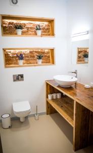 a bathroom with a sink and a toilet at Apartment near the river with it's own entrance in Līgatne