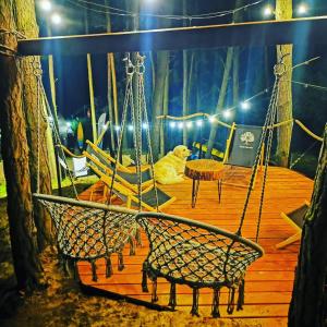 pies siedzący na drewnianym tarasie z huśtawką w obiekcie Nad Narvią - Glamp w Serocku