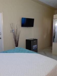 a bedroom with a bed and a tv on the wall at Clarke's Luxurious Private Suite in Spanish Town