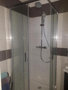 łazienka z prysznicem i szklanymi drzwiami w obiekcie Residence d'Anjou - Grand studio avec balcon et parking privatif w Perpignanie