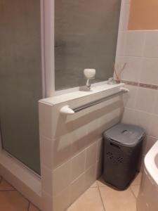 ein Badezimmer mit einem Waschbecken und einem Mülleimer in der Unterkunft Joans place selfcatering in Velddrif