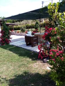 Podere Battegone في Menestrello: مقعد في حديقة بها زهور وردية