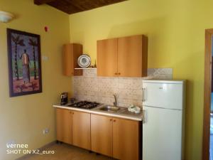 a kitchen with wooden cabinets and a white refrigerator at Le Terrazze di Martina in Nicotera
