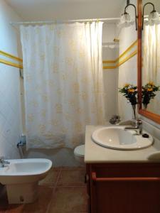 a bathroom with a sink and a toilet and a shower curtain at Casa Rural O´LIENO in Oto +21 photos