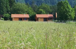 a house in the middle of a field of grass at Chalet Stressless in Presseggen