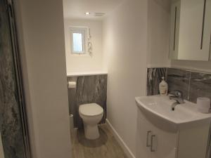 a bathroom with a toilet and a sink at The Cuddy - Apartment with garden in Brixham