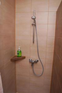 La salle de bains est pourvue d'une douche avec un pommeau de douche. dans l'établissement Chatka nad jeziorem, à Studzienice
