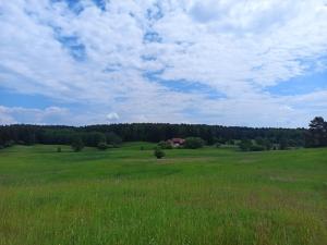 a large green field with a house in the distance at Dom na Mazurach z Widokiem Na Las in Jedwabno