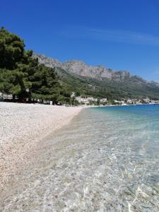 a sandy beach with trees and the water at Apartment Borovi with terrace and parking Podaca in Podaca