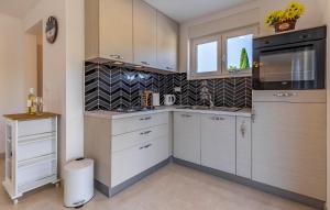 Kuchyň nebo kuchyňský kout v ubytování Apartman Leon