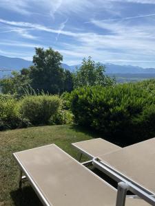 Gallery image of Platzlhof in Appiano sulla Strada del Vino