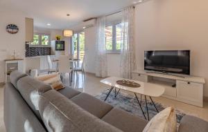 TV a/nebo společenská místnost v ubytování Apartman Leon