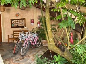 バジャドリドにあるCasa San Juanの木の隣に2台の自転車が停まっている