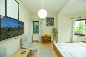 Televízia a/alebo spoločenská miestnosť v ubytovaní Nemes Apartman