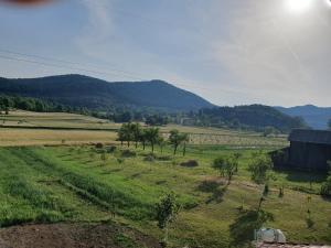 Príroda v okolí apartmánu