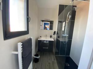 a bathroom with a sink and a shower at Blue Diamond Room in Salles-dʼAude +12 photos