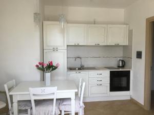 A kitchen or kitchenette at Birgi holiday home