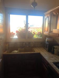 cocina con fregadero y 2 ventanas con plantas en Magnifique emplacement pour ce joli f3, en Cavalaire-sur-Mer