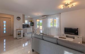 TV a/nebo společenská místnost v ubytování Apartman Leon