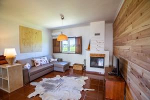uma sala de estar com um sofá e uma lareira em Quinta de Carvalhal - Casa da Vinha em Guimarães
