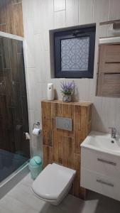 Ένα μπάνιο στο Domki Magnolia +28 φωτογραφίες