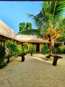 a palm tree in front of a building with benches at Thoddoo Retreat Grand in Thoddoo