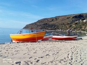 Naturlandskabet i nærheden af lejligheden