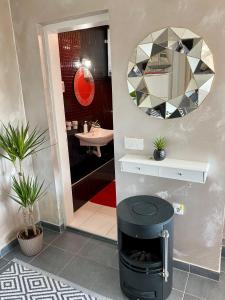 a bathroom with a trash can and a mirror at Apartman Bella Vista in Golubac +56 photos