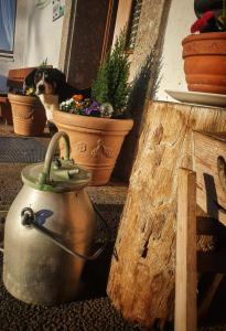 Pension Maria في Antdorf: وجود كلب يجلس في وعاء الزهور بجانب غلاية الشاي